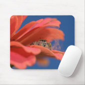 Liebenswerter Springer schaut heraus Mousepad (Mit Mouse)