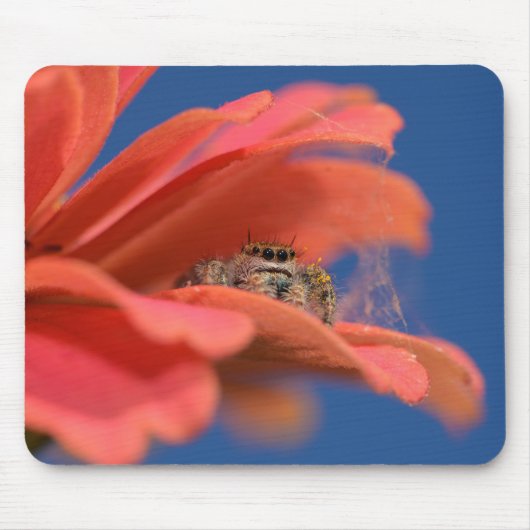 Liebenswerter Springer schaut heraus Mousepad (Vorne)