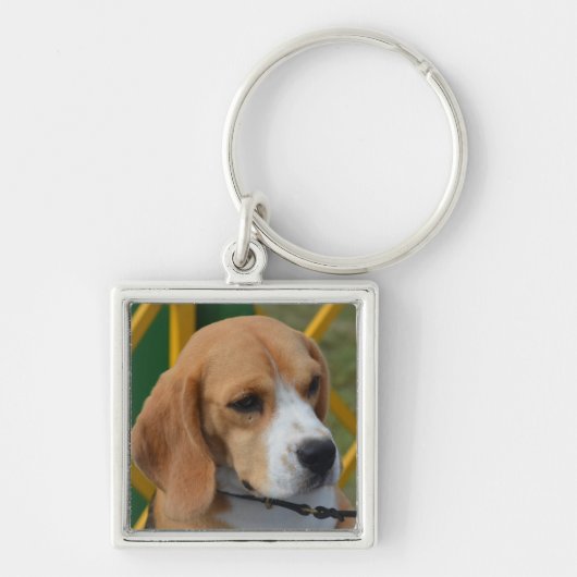 Liebenswürdiger Beagle Schlüsselanhänger (Vorne)