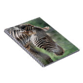 Liebenswürdiger Zebra Notizblock (Rechte Seite)