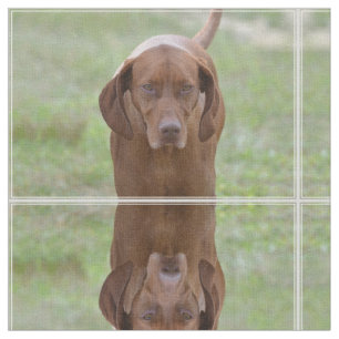 Liebenswürdiges Vizsla Stoff