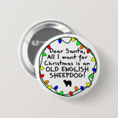 Lieber alter englischer Schäferhund Sankt Button (Vorne & Hinten)