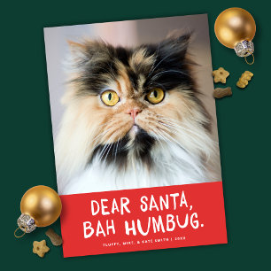 Lieber Santa Bah Humbug Funny Pet Foto Feiertagskarte