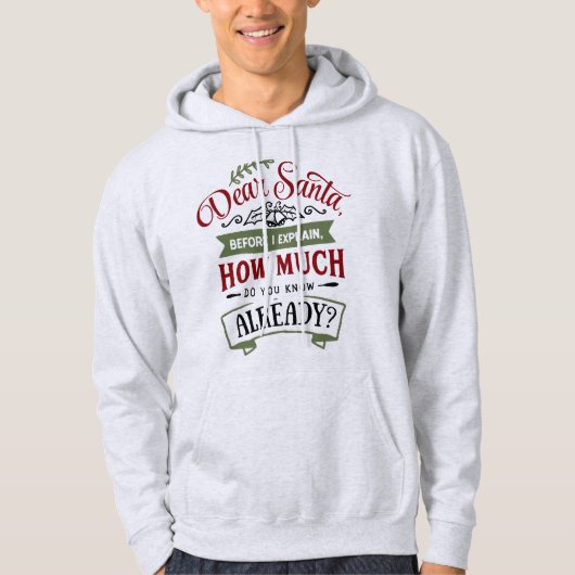 Lieber Weihnachten, bevor ich erkläre - Funny Chri Hoodie (Vorderseite)