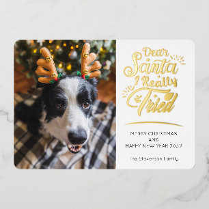 Lieber Weihnachten Ich versuchte Hund Foto Spaß We Folien Feiertagskarte