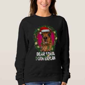 Lieber Weihnachten, süße Alpaca war zu Weihnachten Sweatshirt