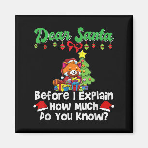 Lieber Weihnachtsmann, bevor ich erkläre, wie viel Magnet