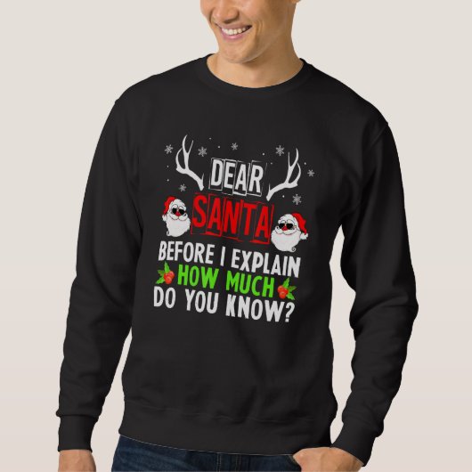 Lieber Weihnachtsmann, bevor ich erkläre, wie viel Sweatshirt (Vorderseite)