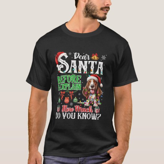 Lieber Weihnachtsmann, bevor ich erkläre, wie viel T-Shirt (Vorderseite)