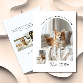 Lieber Weihnachtsmann Definition Schöner Hund Weih Feiertagskarte