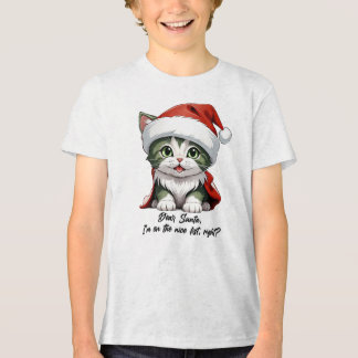 Lieber Weihnachtsmann, ich bin auf der schönen Lis Tri-Blend Shirt