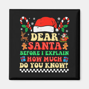 Lieber Weihnachtsmann, ich kann erklären Lustiges  Magnet