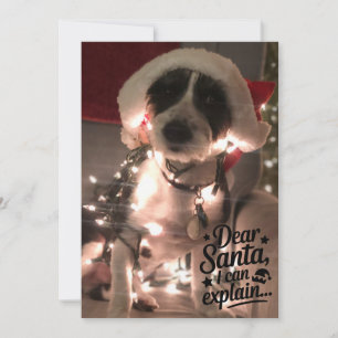 Lieber Weihnachtsmann, ich kann es erklären (Hund) Karte