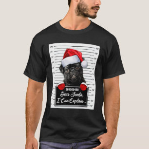Lieber Weihnachtsmann, ich kann es erklären Weih T-Shirt