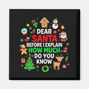 Lieber Weihnachtsmann, ich kann lustige Weihnachts Magnet