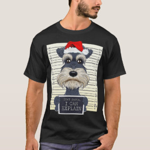 Lieber Weihnachtsmann, ich kann lustige Weihnachts T-Shirt