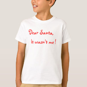 Lieber Weihnachtsmann, ich war's nicht! T-Shirt