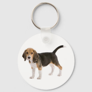 Liebes-Beagle-Welpen-Hund individuell gestaltetes Schlüsselanhänger