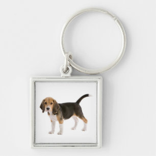 Liebes-Beagle-Welpen-Hund individuell gestaltetes Schlüsselanhänger