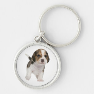 Liebes-Beagle-Welpen-Hund individuell Schlüsselanh Schlüsselanhänger