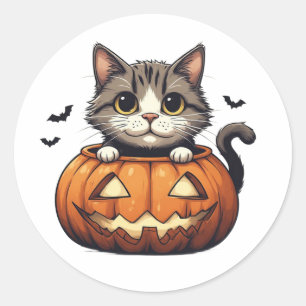 Liebes Kätzchen im Jack O Lantern Thema 🎃 Runder Aufkleber