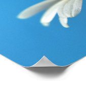 Liebesbiene Poster (Ecke)