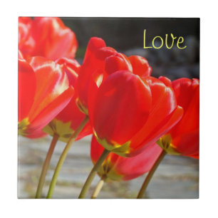 Liebesgeschenke Rote Tulpen Blumen Fliesen Kunst B