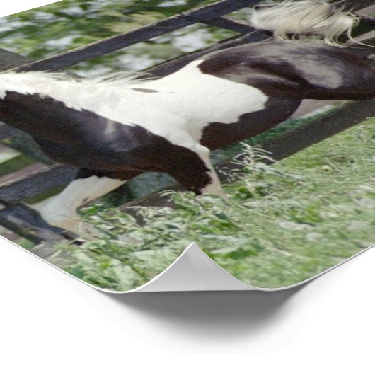 Liebesnadel Poster (Ecke)