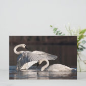 Liebesschwäne Briefpapier (Stehend Vorderseite)