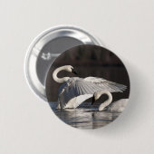 Liebesschwäne Button (Vorne & Hinten)