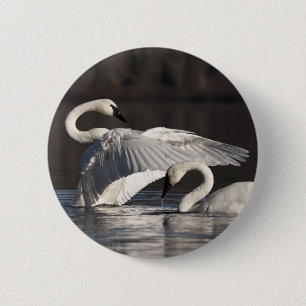 Liebesschwäne Button