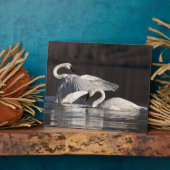 Liebesschwäne Fotoplatte (Seite)