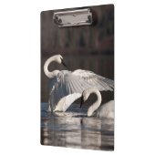 Liebesschwäne Klemmbrett (Links)