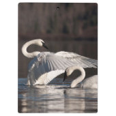 Liebesschwäne Klemmbrett (Rückseite)