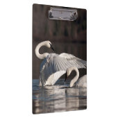 Liebesschwäne Klemmbrett (Rechts)