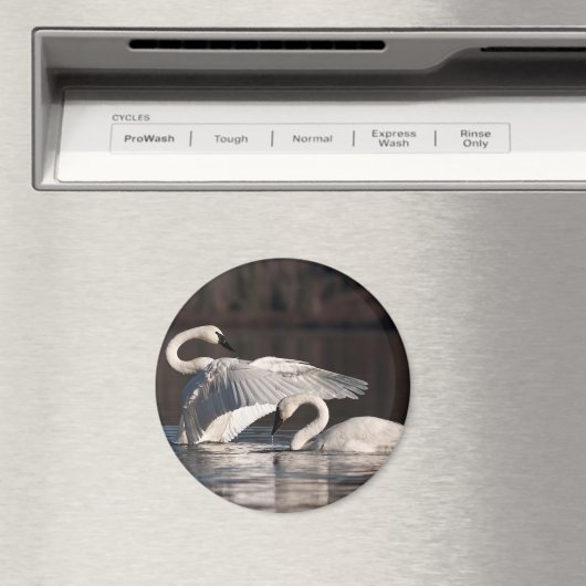 Liebesschwäne Magnet (In Situ (Geschirrspüler))