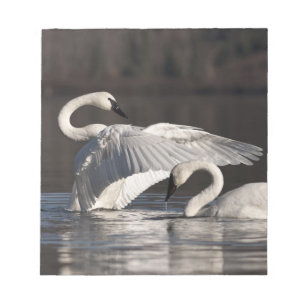 Liebesschwäne Notizblock