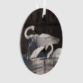 Liebesschwäne Ornament (Vorderseite)