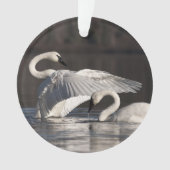 Liebesschwäne Ornament (Vorderseite)