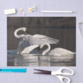 Liebesschwäne Seidenpapier (Handwerk)