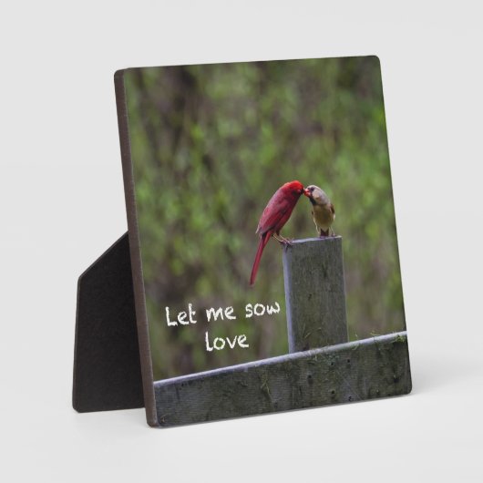 Liebesvögel — fotoplatte (Vorderseite)