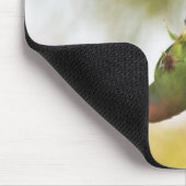 Liebesvogel Mousepad (Ecke)