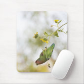 Liebesvogel Mousepad (Mit Mouse)
