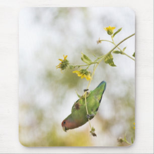 Liebesvogel Mousepad