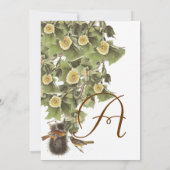 Liebesvögel Nesting Aqua Blue Schriftart Hochzeit Einladung (Rückseite)