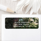 Liebesvögel + Pine Tree Night Rustikale Hochzeit (Insitu)