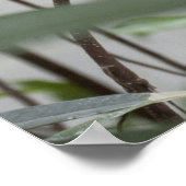 Liebesvögel Poster (Ecke)