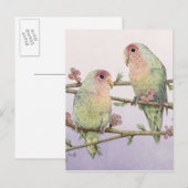 Liebesvögel Postkarte (Vorne/Hinten)