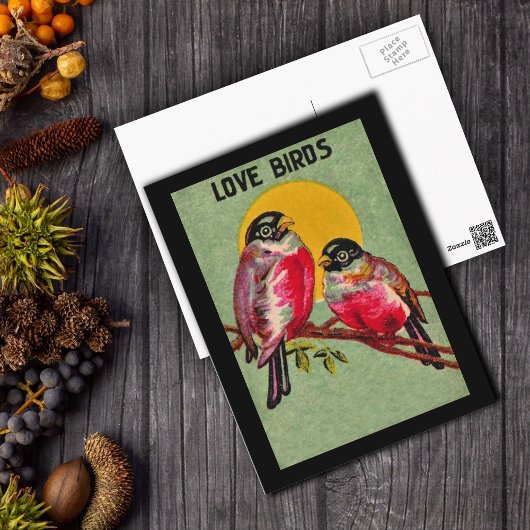 Liebesvögel Postkarte