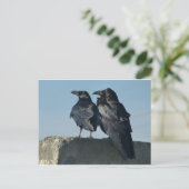 Liebesvögel Postkarte (Stehend Vorderseite)